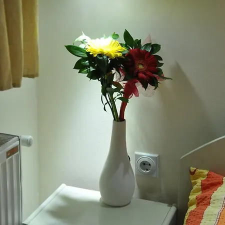 Maison d'hôtes Turist