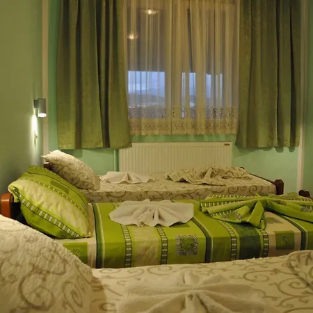 Turist Vladičin Han